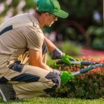 Lawn Care Services