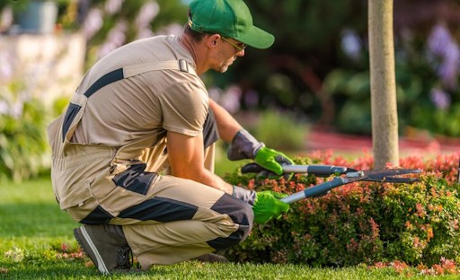 Lawn Care Services